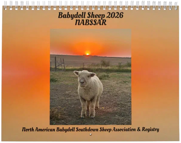Photo by Lacher Family, Lacher Family Farm, Friend, NE