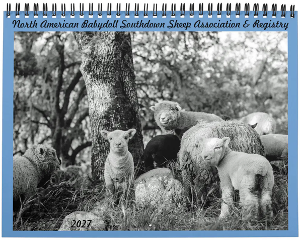 Click to be redirected to Zazzle to order a calendar. Photo by Lacher Family, Lacher Family Farm, Friend, NE